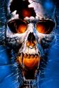 Skull Duggery (free iPhone wallpaper)