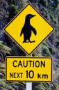 Penguin Crossing Sign (free iPhone wallpaper)
