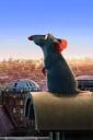 Ratatouille on a roof (free iPhone wallpaper)