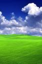Light green field (free iPhone wallpaper)